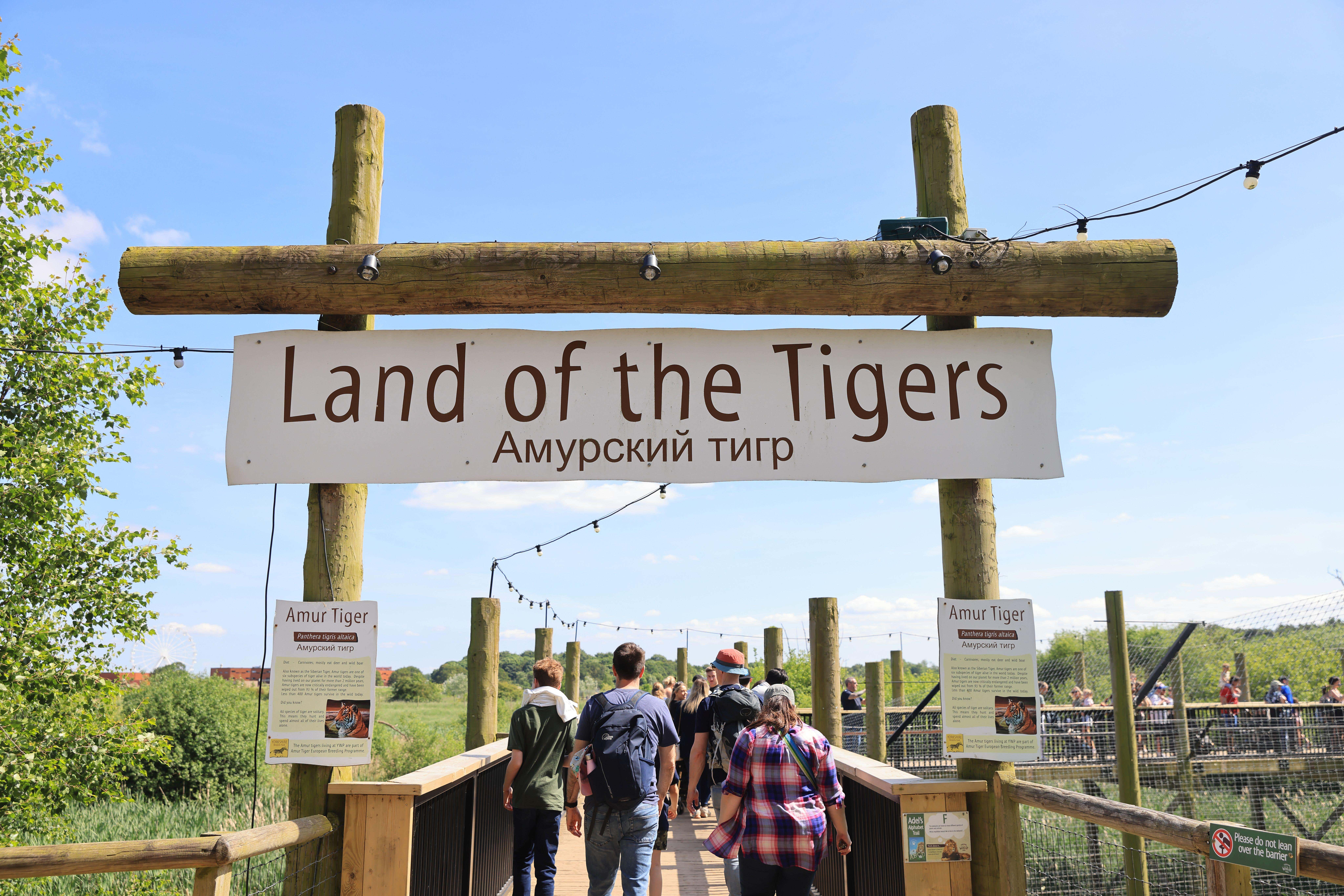 Yorkshire Wildlife Park opened in 2009, with the “Land of the Tigers” attraction opening in 2011