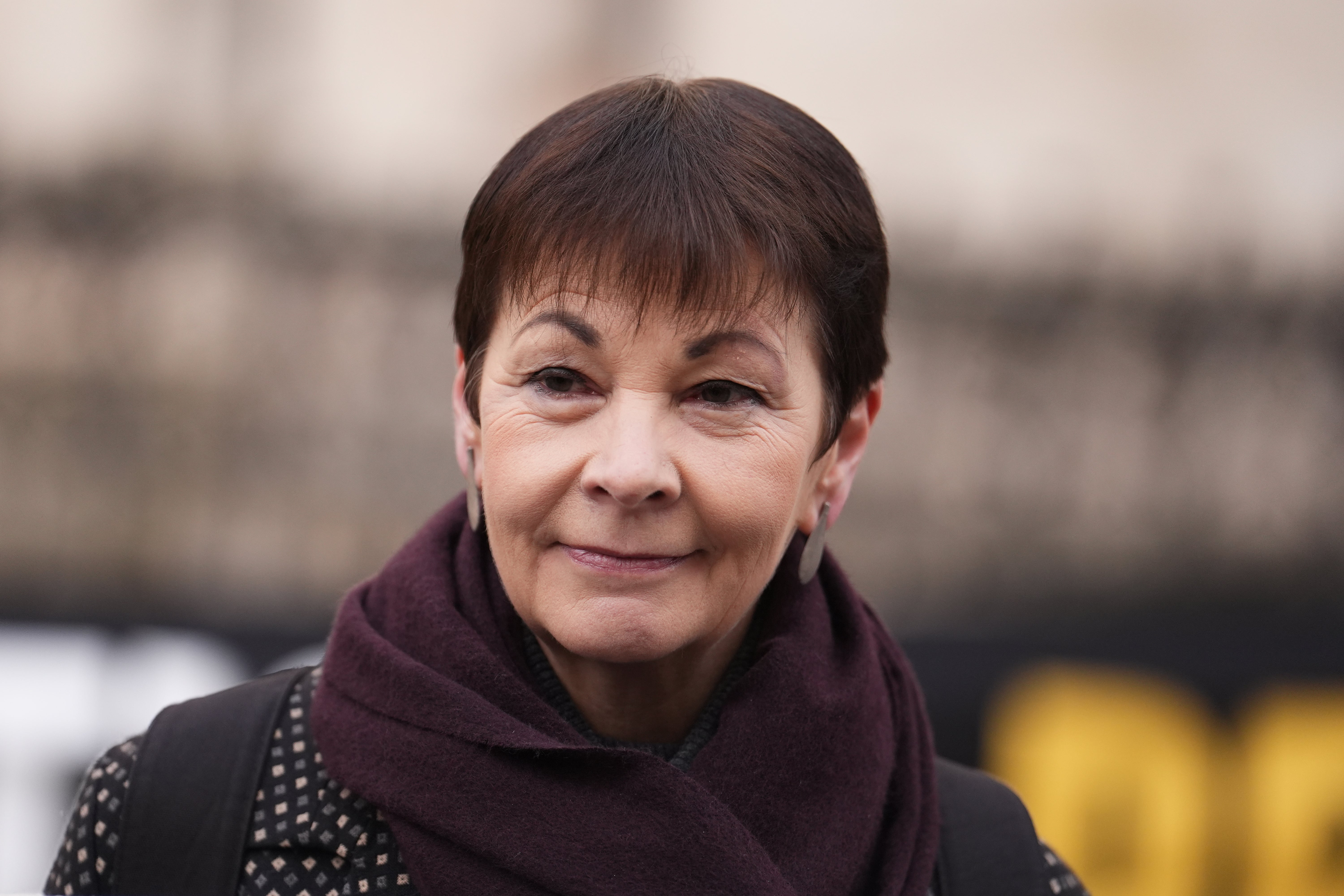 Former leader Caroline Lucas suggested there had been ‘entryism’ towards the party (Jordan Pettitt/PA)
