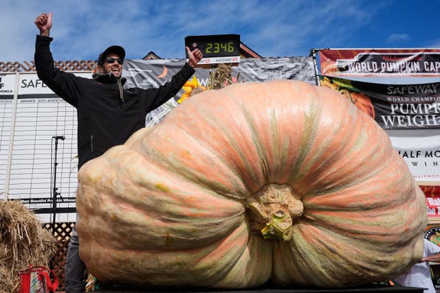 Brandon Dawson, left, celebrates after winning the Safeway 52nd annual World Championship Pumpkin Weigh-Off in Half Moon Bay, in 2025