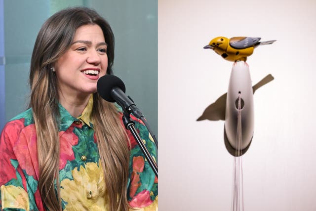 <p>Kelly Clarkson contó que le habían dicho, en un tono condescendiente, que el pájaro costaba 15.000 dólares</p>