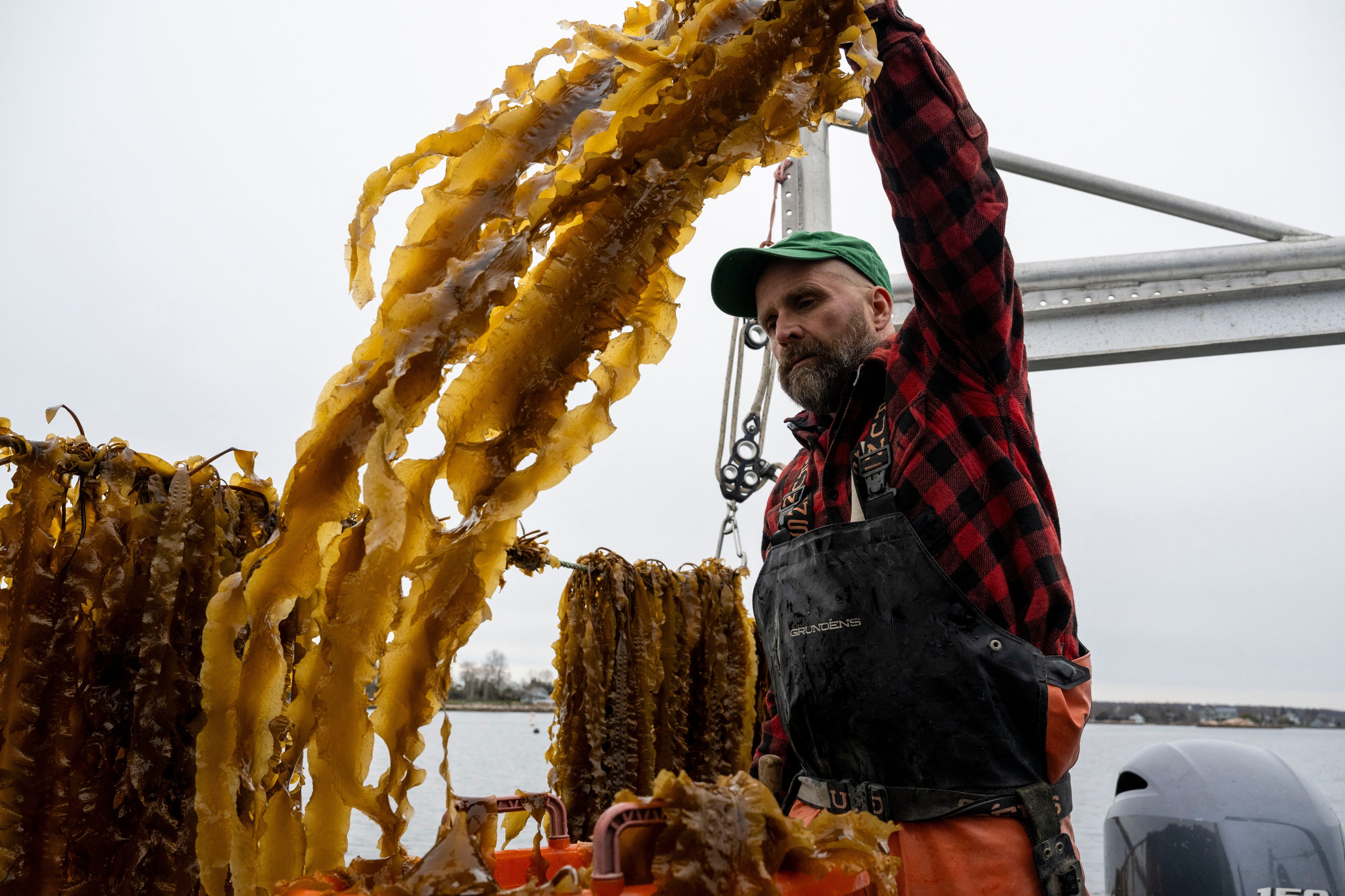 A marine staple grown in Asia for centuries could be the future of human diets and eating sustainably