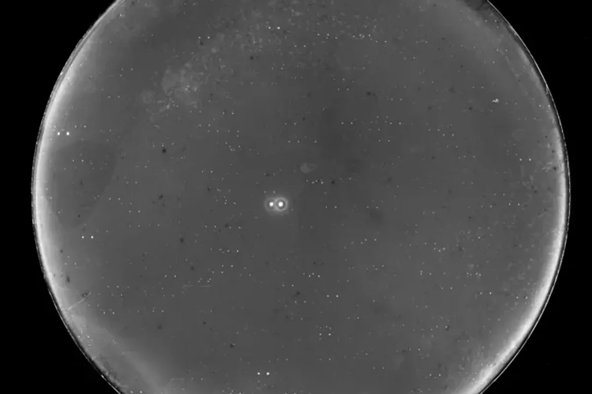 Study finds Earth‑sized planet could orbit habitable zone of nearby binary star