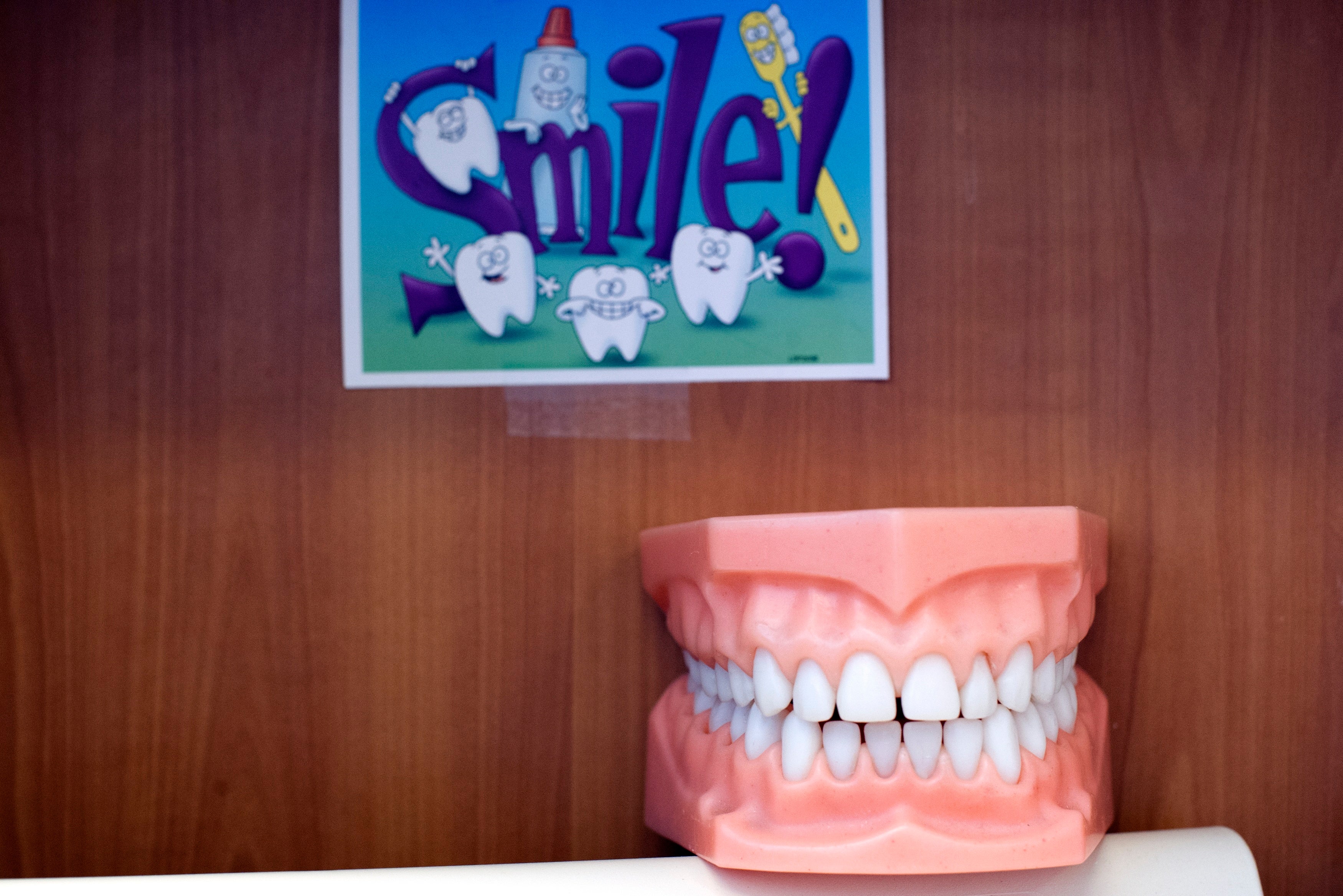 Plastic model of teeth is used by dental staff during patient visits at Inner City Health Center in Denver