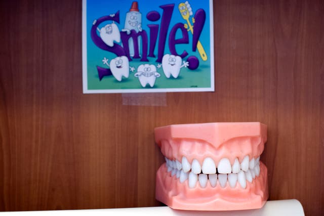 Plastic model of teeth is used by dental staff during patient visits at Inner City Health Center in Denver