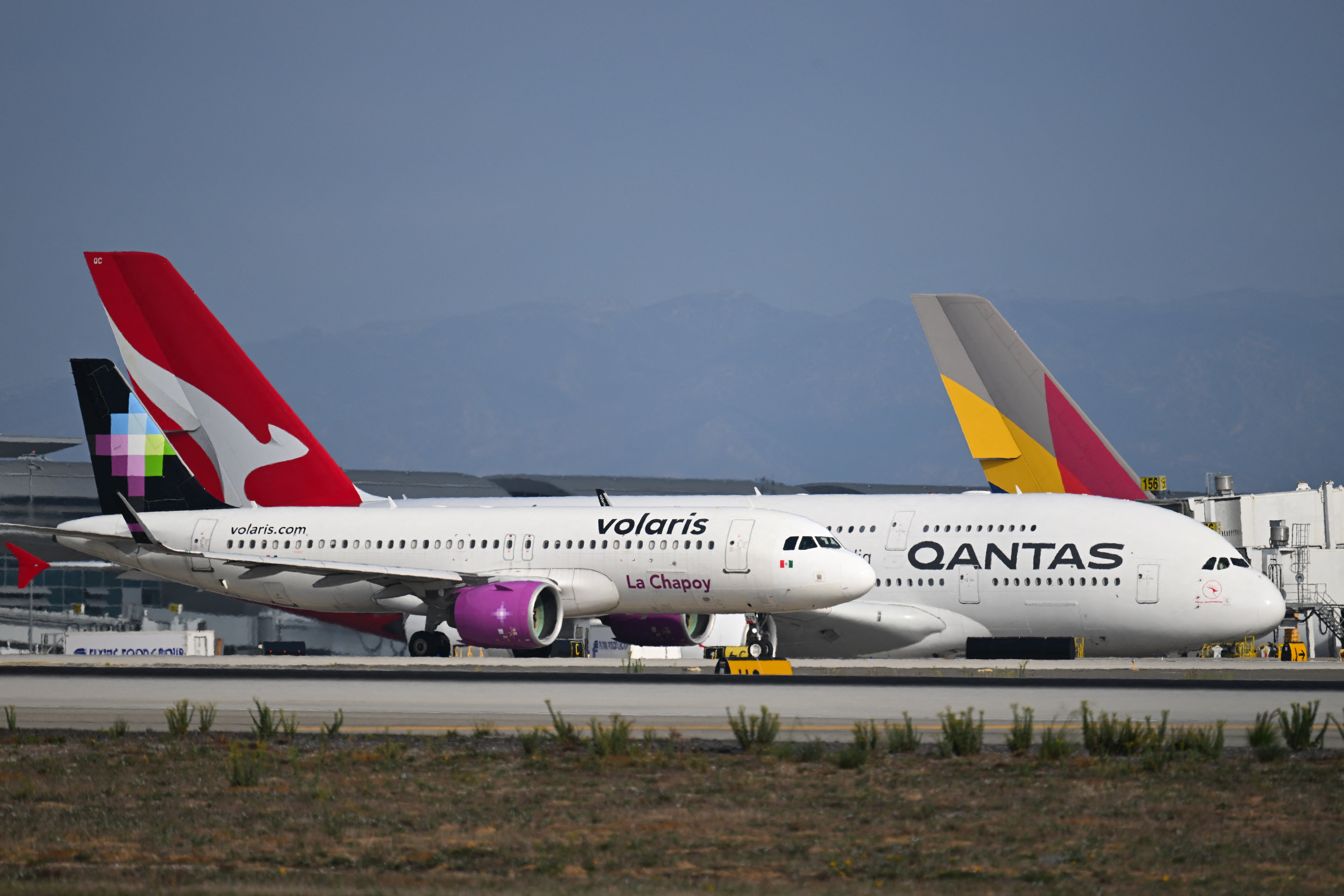 Qantas annule un vol vers Rome en raison d'une infestation de punaises de lit