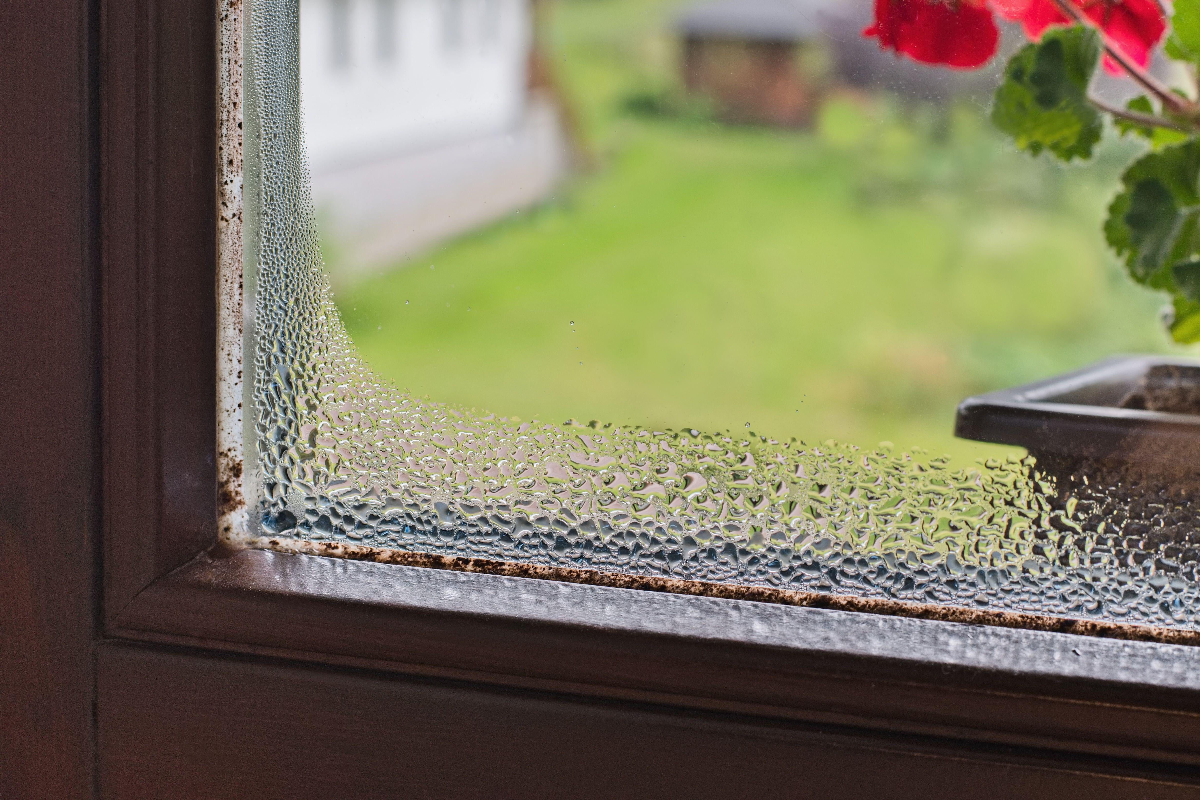 ‘Wipe away condensation when you see it, and pay particular attention to the corners of the frame,’ highlights Crombie