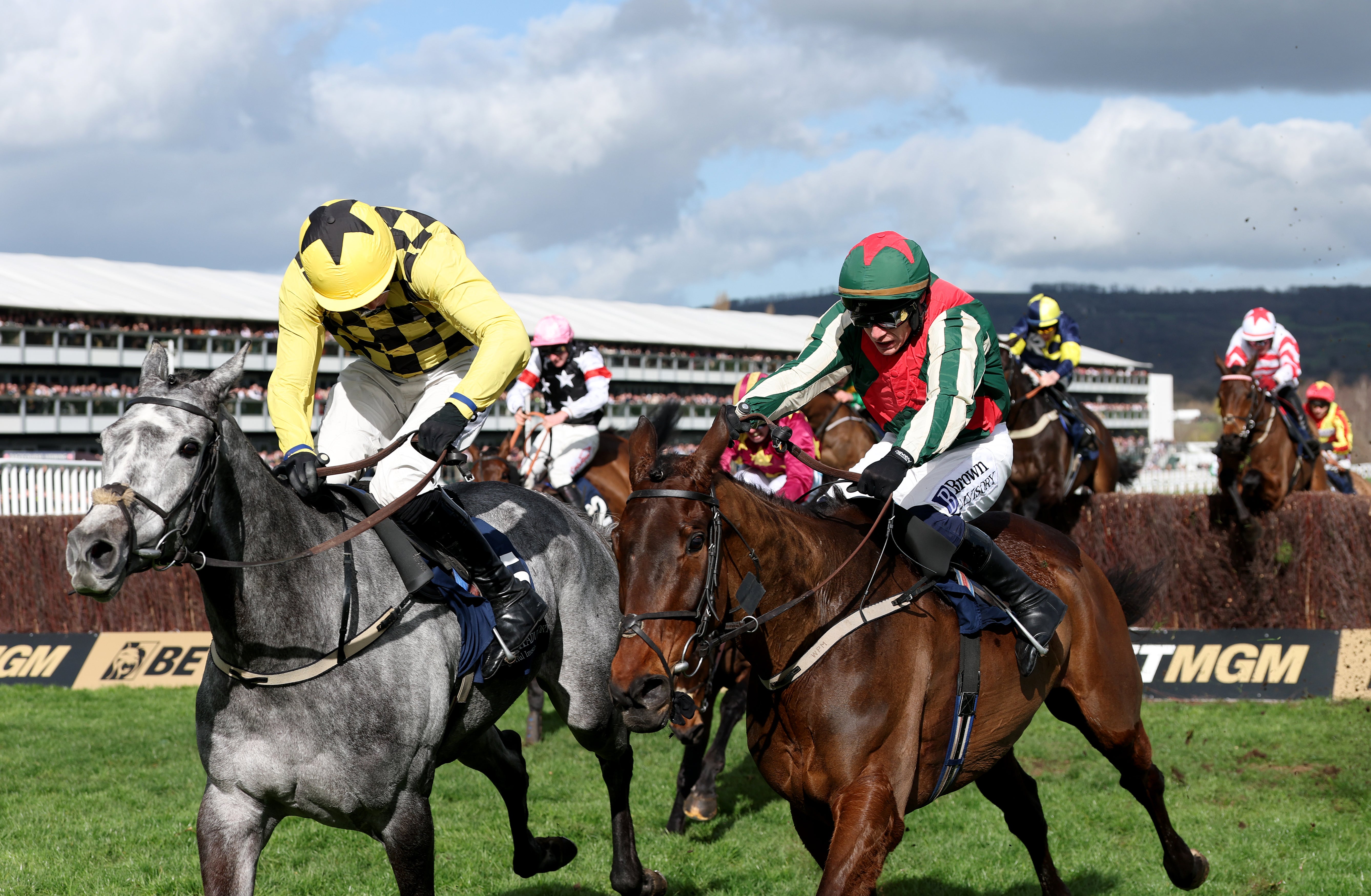 Willie Mullins fined and horse disqualified from Cheltenham race after ...