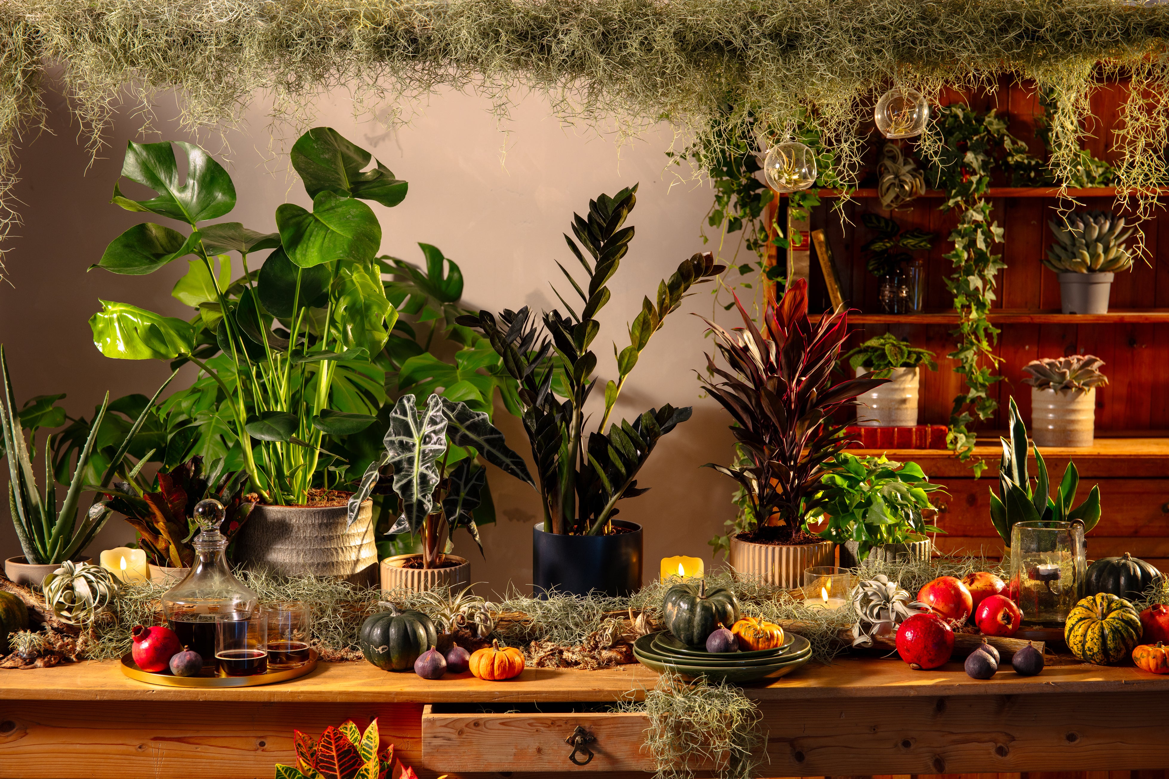 (Dobbies Garden Centres/PA)