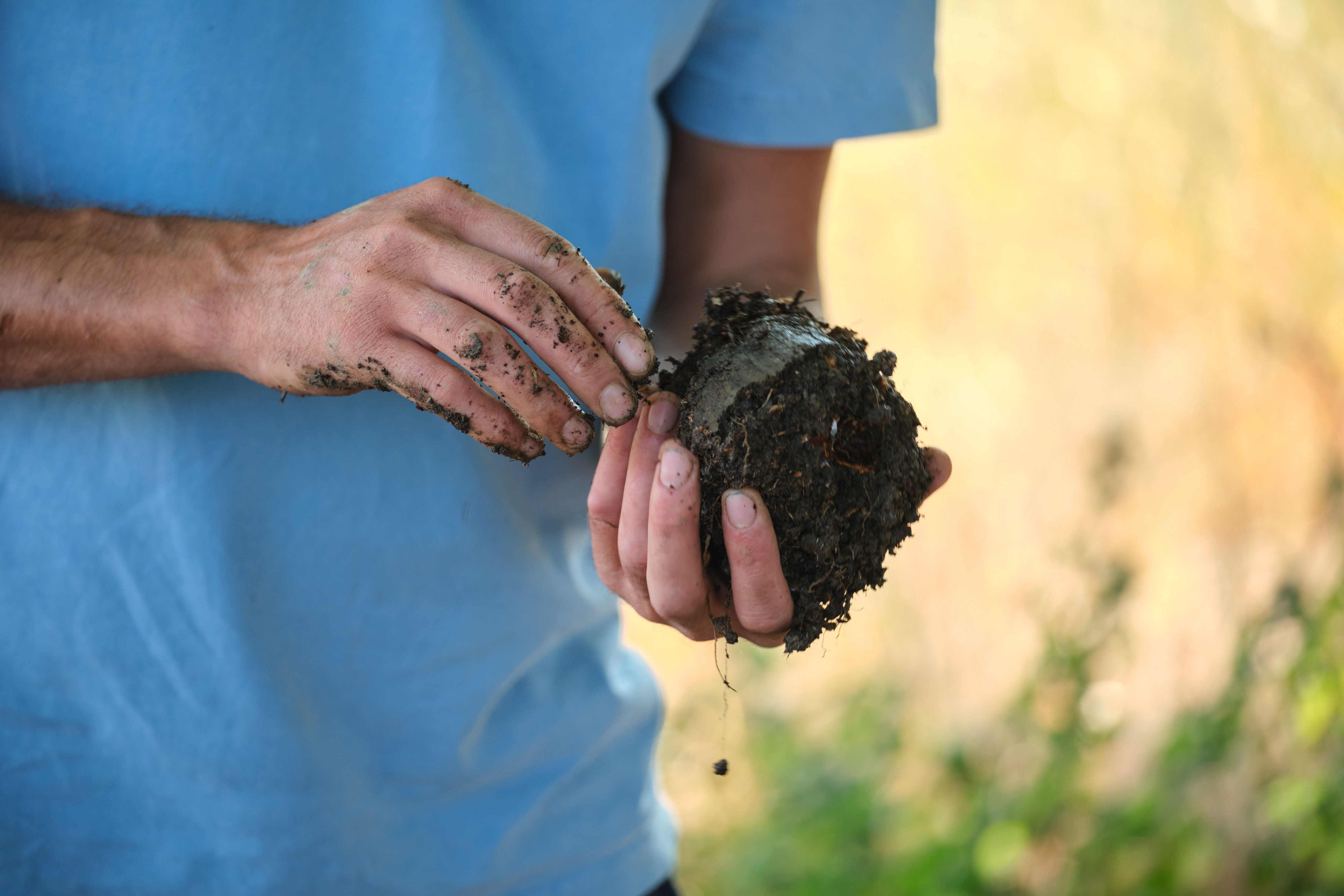 Regenerative agriculture means helping to rebuild soil health, protecting natural water catchments, and restoring biodiversity