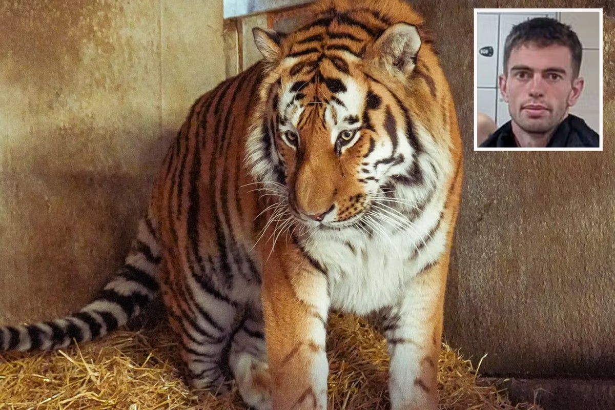What happened in the Yorkshire tiger attack? Family of victim issues statement