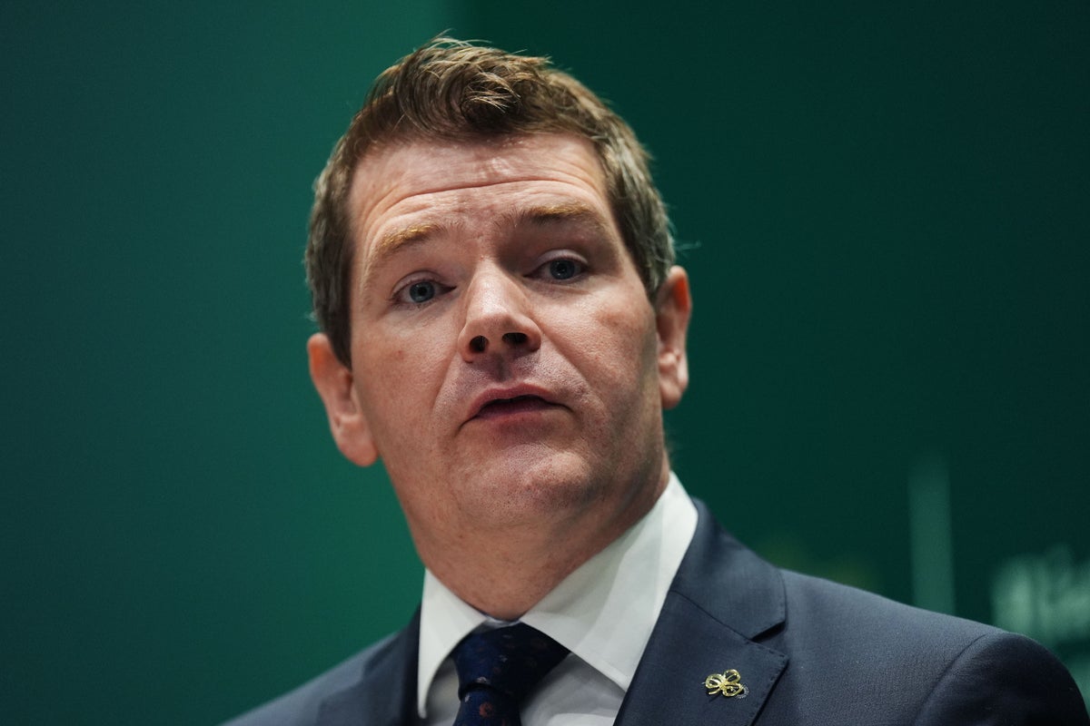 Ireland's Enterprise Minister warns of AI-driven job losses