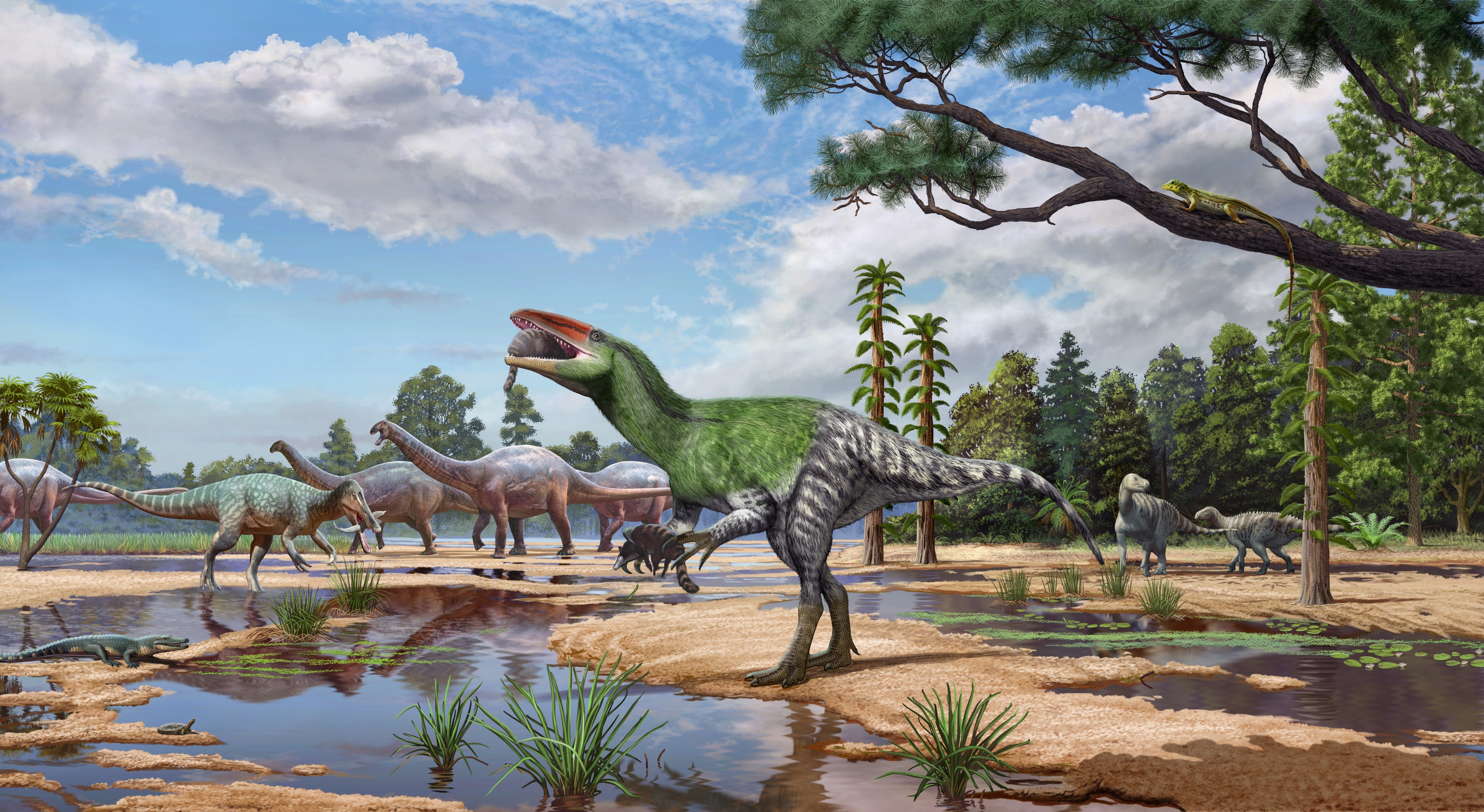 Dinosaur fossil ‘sitting in a drawer’ for 100 years identified as new T rex relative