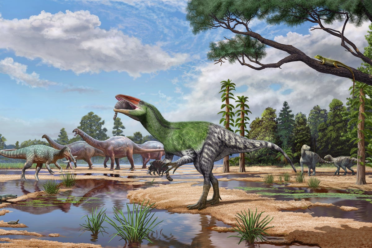 Dinosaur fossil ‘sitting in a drawer’ for 100 years identified as new T rex relative