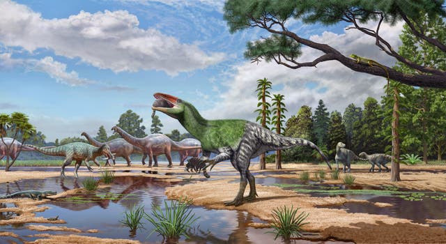 The new theropod dinosaur, Invictibellatrix amberina