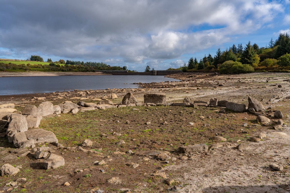 Severe drought declared across parts of England with water resources ...