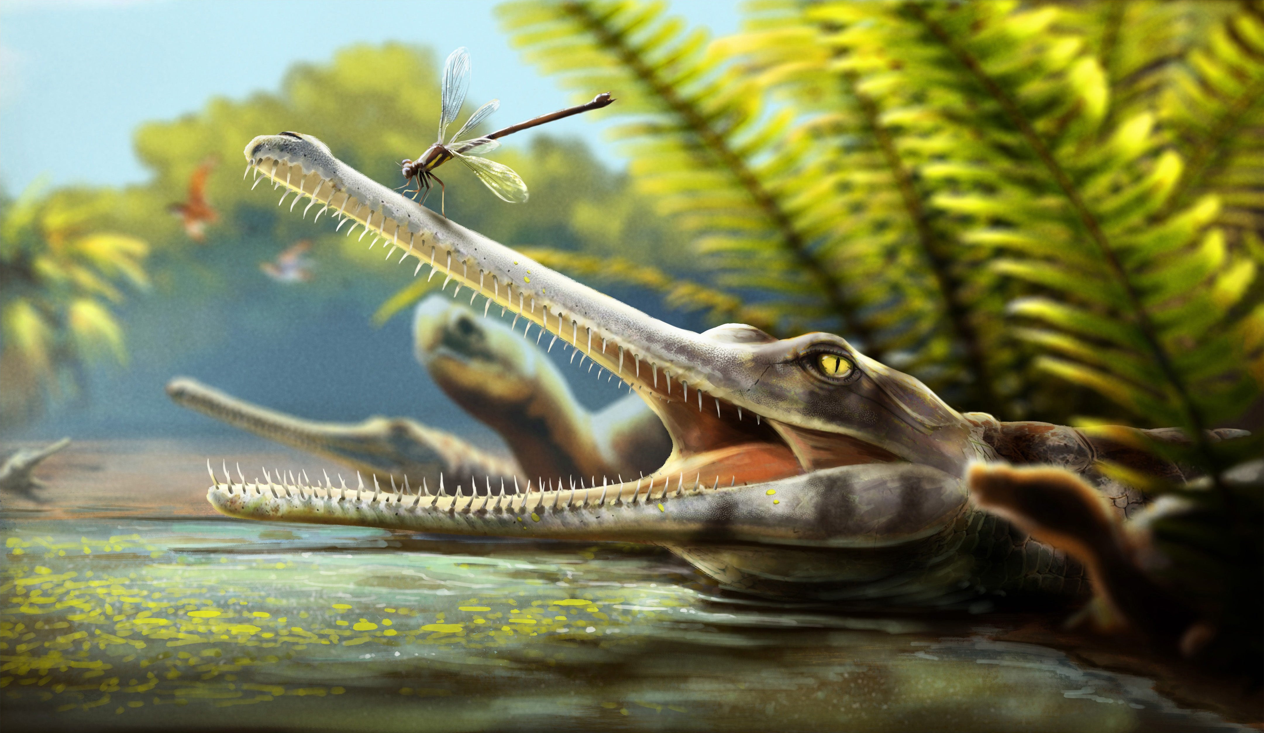 Ctenosuchus tenuidens had teeth so fine that they resembled toothpicks
