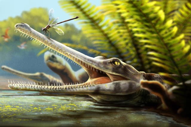 Ctenosuchus tenuidens had teeth so fine that they resembled toothpicks