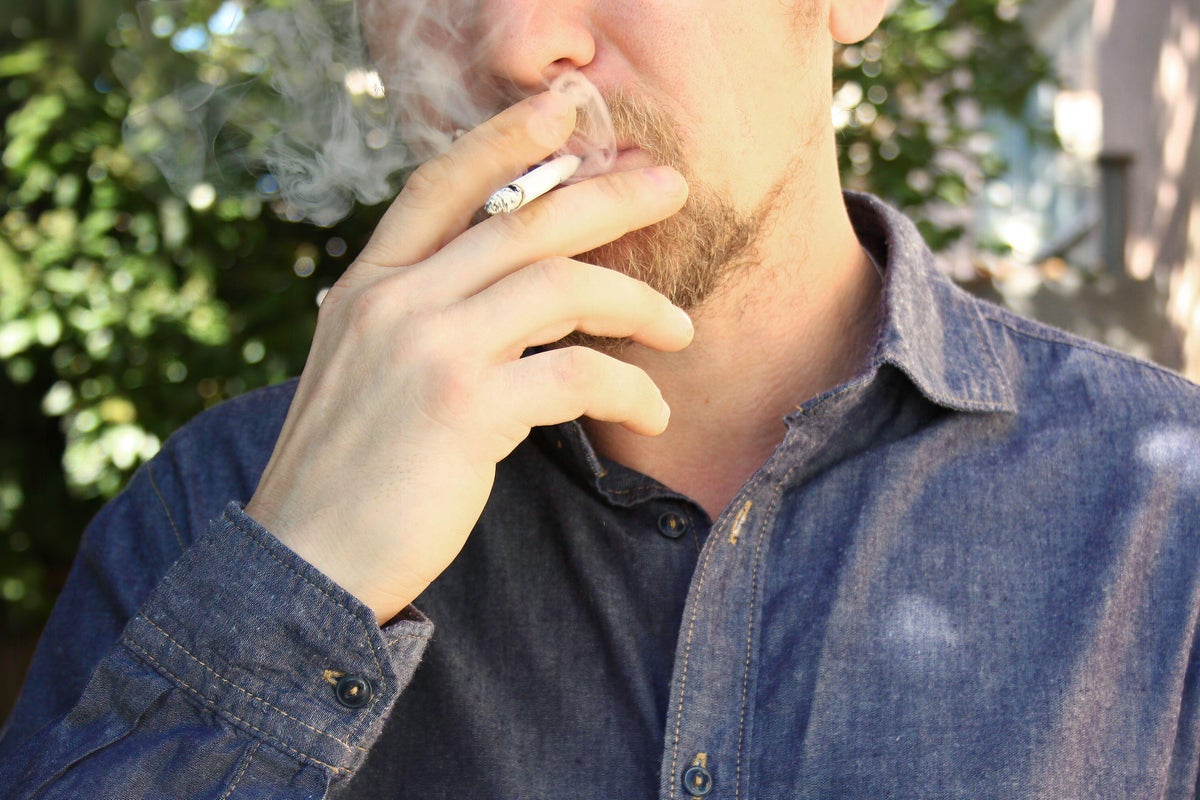 Study links cigarette smoke to gene changes affecting fertility in mice