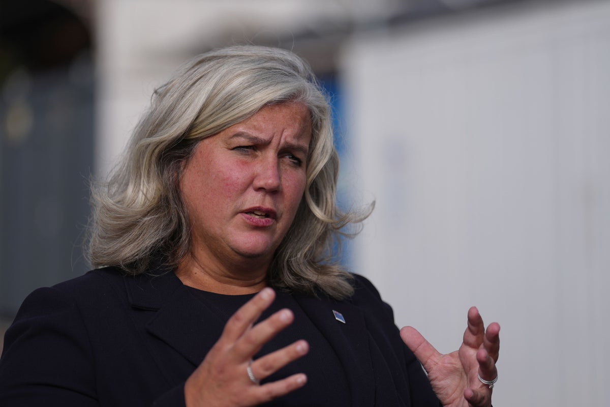 Heidi Alexander says third Heathrow runway could grow ‘every corner’ of UK