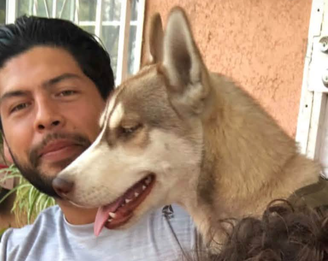 Beloved husky found hanged behind doughnut shop as heartbroken owner ...