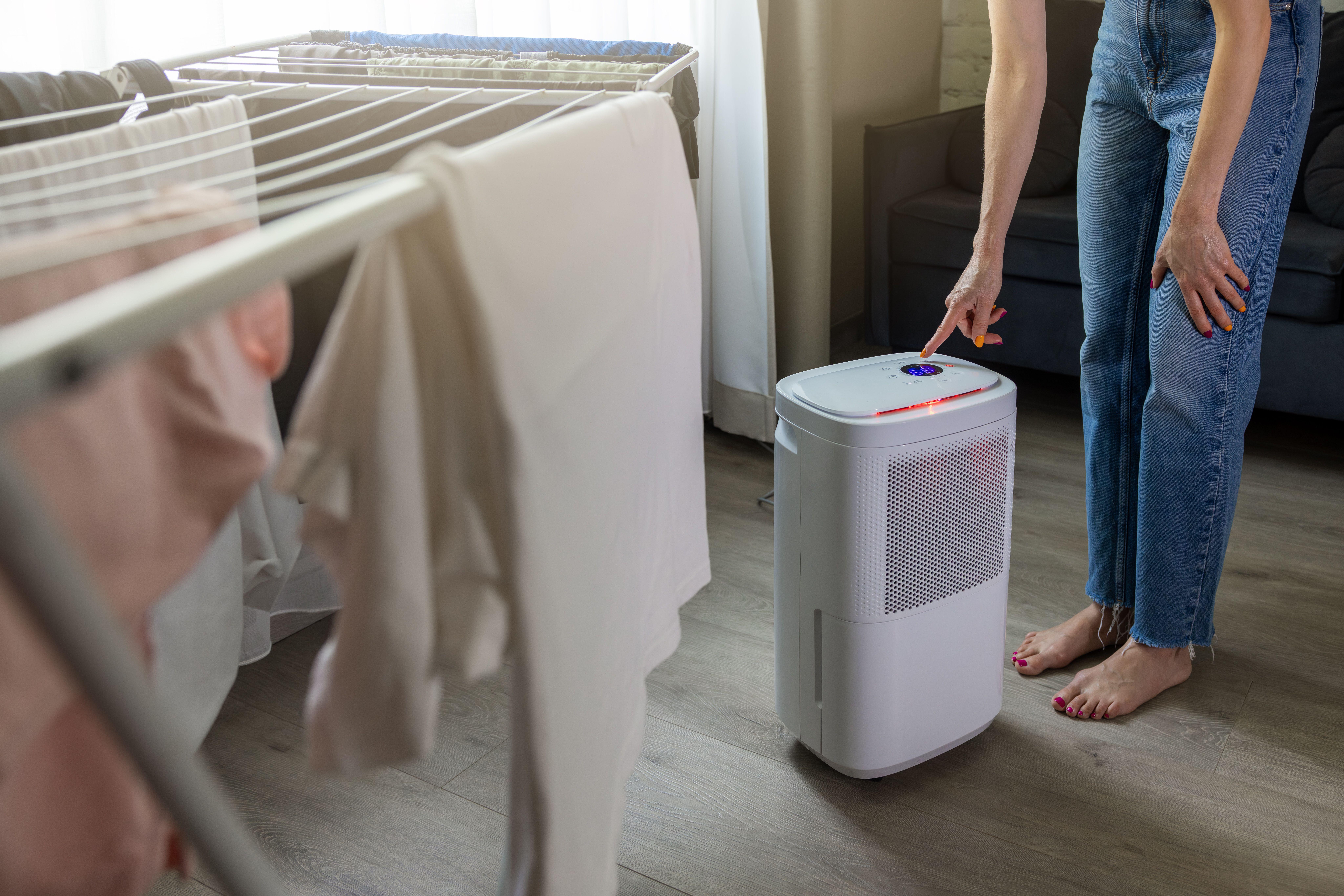 Dehumidifiers can help avoid mould and moisture