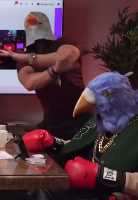 A still from the 'Talking Pigeons' online show at the centre of the Mike Tyson High Court contract dispute