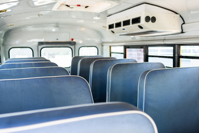 PETA has joined community calls to reinstate a Maryland bus driver fired for letting a 10-year-old rescue an injured kitten