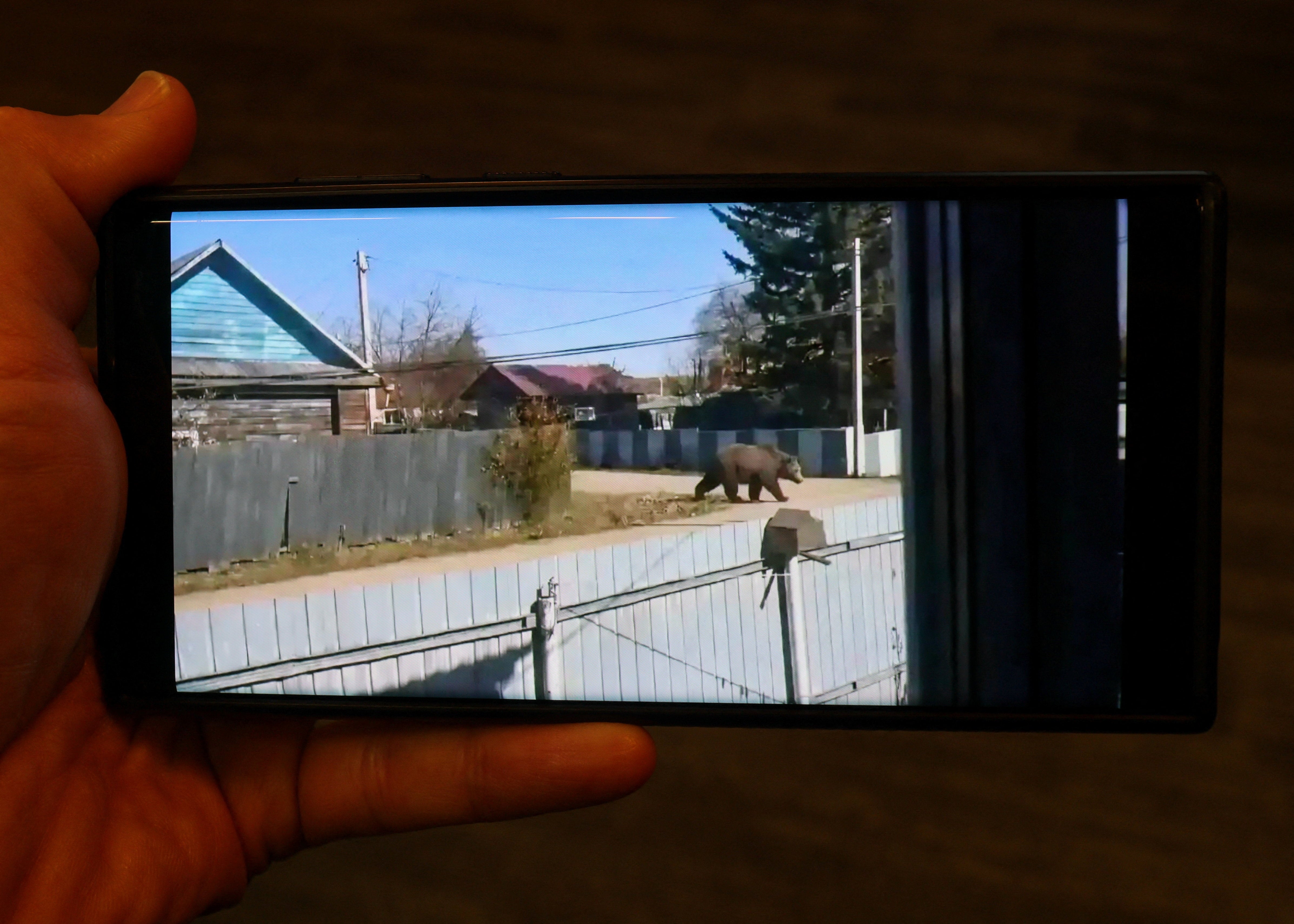 The AI-generated image that led to a fine for a resident of Magdagachi in the Amur region, in Moscow, Russia October 14, 2026