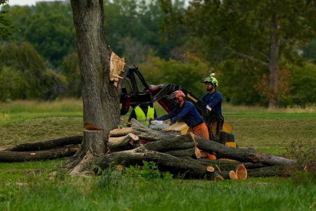 Judge Halts East Potomac Golf Links Tree Cutting Through 2026