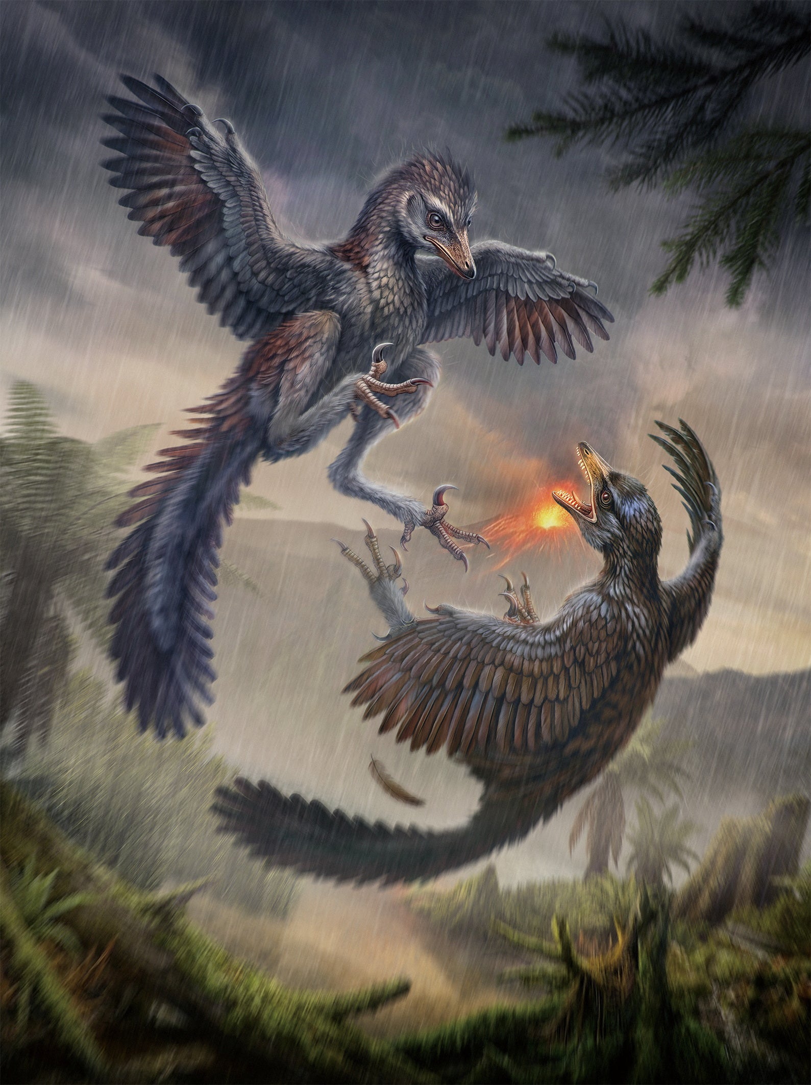 A life reconstruction shows the crow-sized Jurassic bird Yuezhuornis yangyuanensis, whose fossilized remains were discovered in Fujian Province in southeastern China