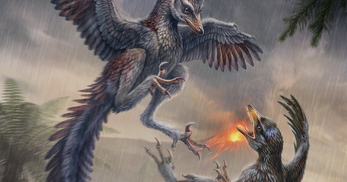 Newly-discovered fossil of 'Frankenstein' bird leaves scientists