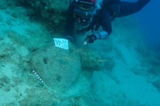 Diver excavates artefacts