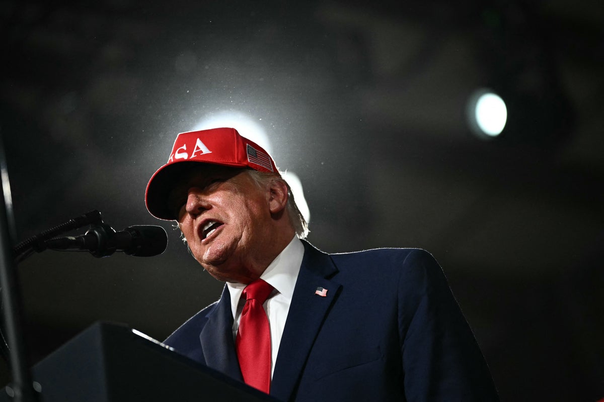 Trump takes bizarre swipe at Elon Musk’s intelligence despite $276M GOP donation spree
