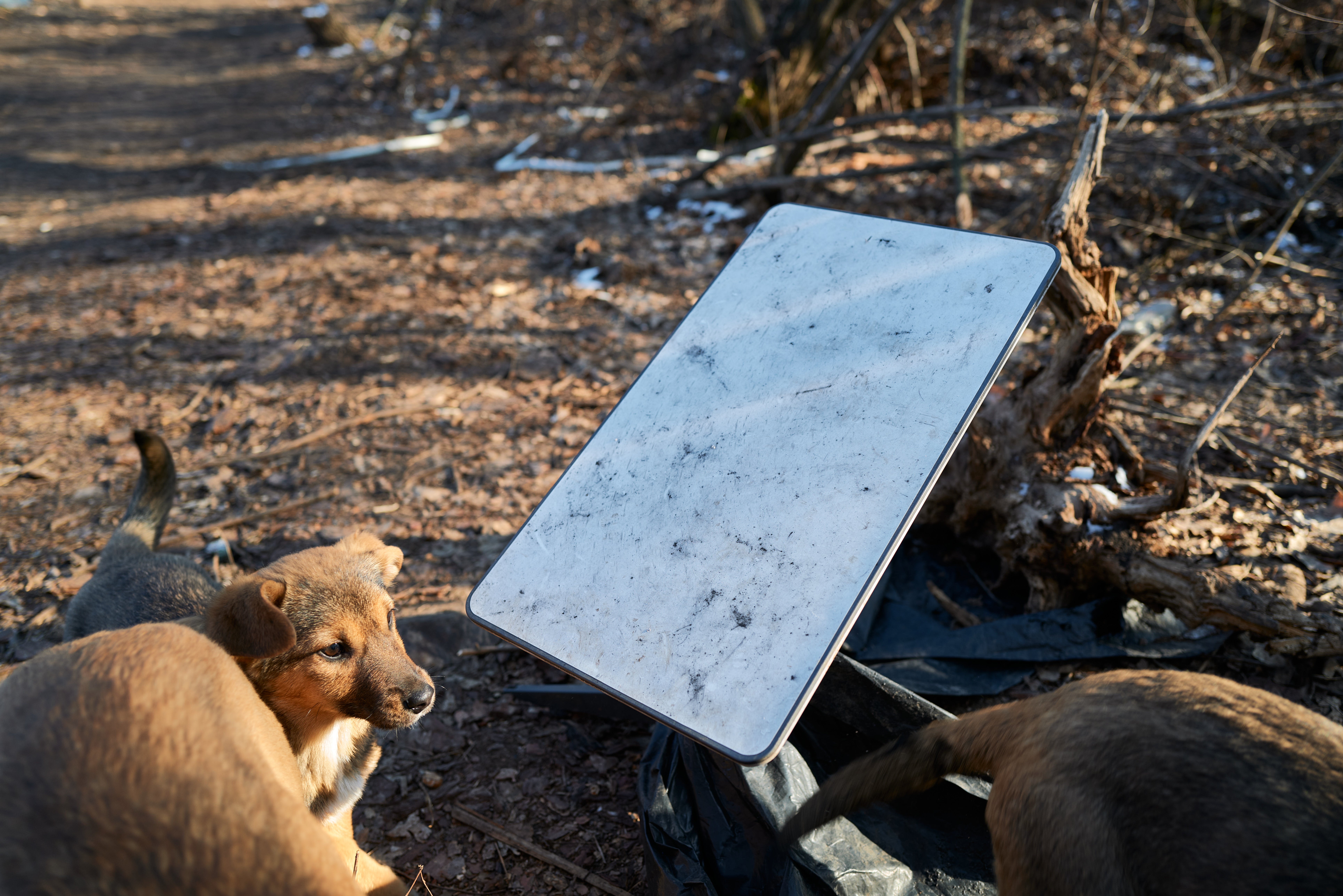 A Starlink device, connecting the brigade to the internet, pictured as Ukrainian servicemen operate howitzers near the fronline near Pokrovsk on 9 February 2025