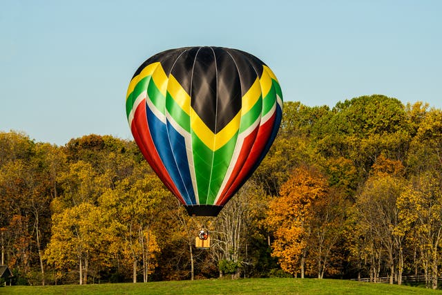 The hot air balloon (stock picture) company says that it remained above the treeline and did not damage the trees