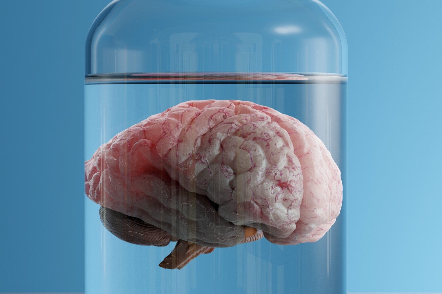 SpaceX delivers lab‑grown human brain models to ISS on CRS‑35 mission