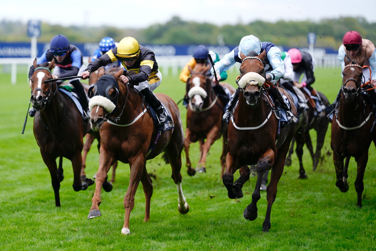 Saturday racing tips: 5 best bets and odds for Champions Day at Ascot