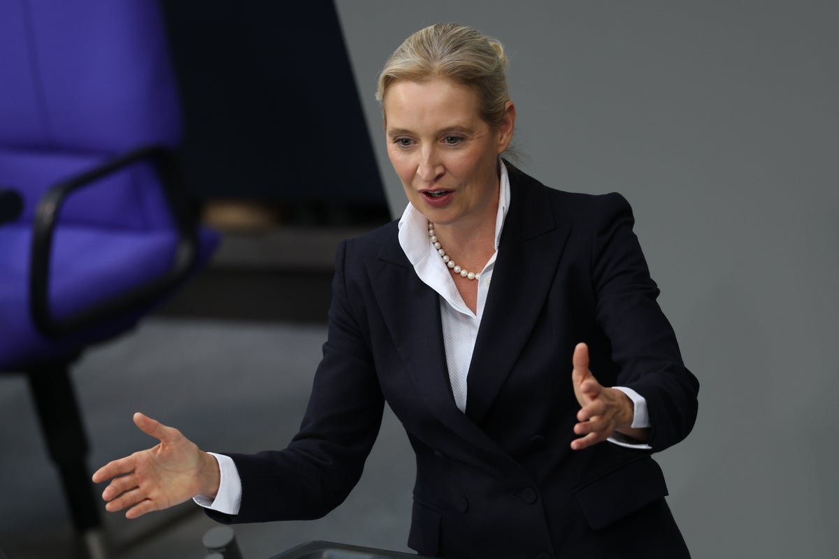 AfD leader threatens to pull German funding for Ukraine and repeats Putin talking points in worrying interview