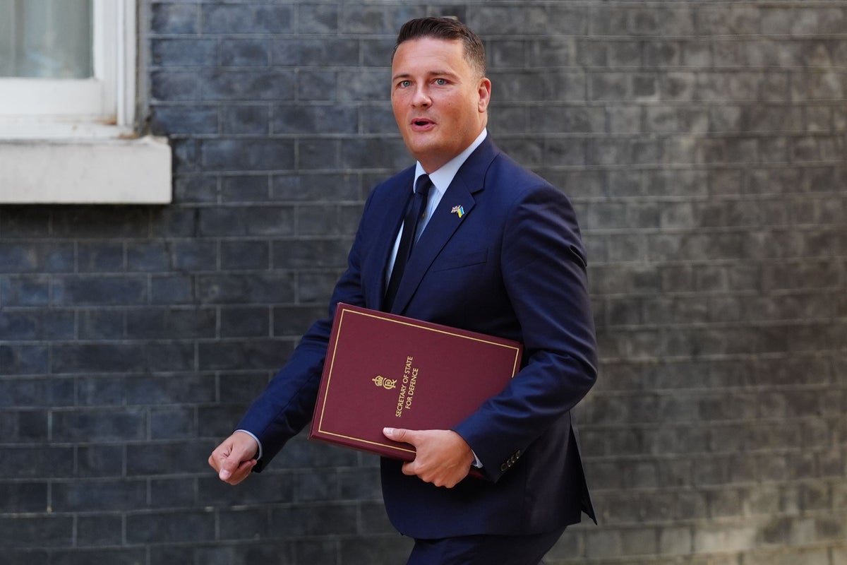 Armed Forces need to ‘live within their means’, Wes Streeting warns