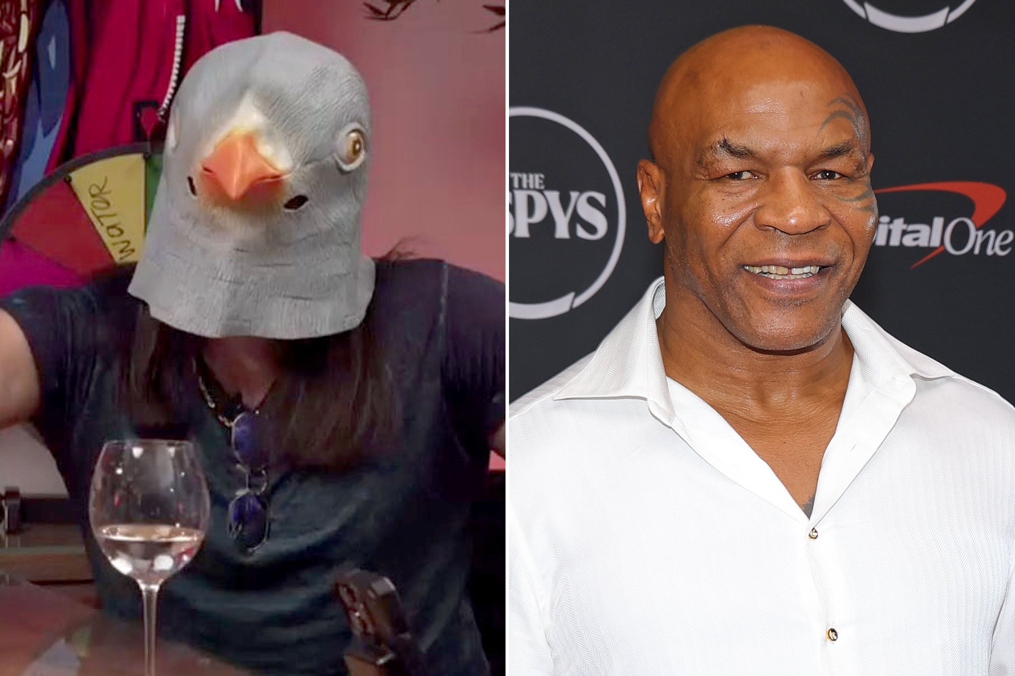'Butt of the joke' Mike Tyson pulled out of giant pigeon video, court battle told