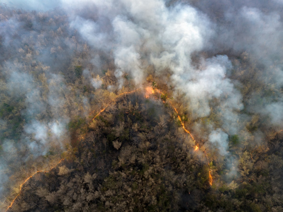 The world is set to pass the key threshold of 1.5C warming above pre-industrial levels, worsening the risks of climate change (Getty/iStock)