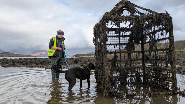 Sgiath is trained to recognise the scene of the 'sea vomit' amongst other marine organisms
