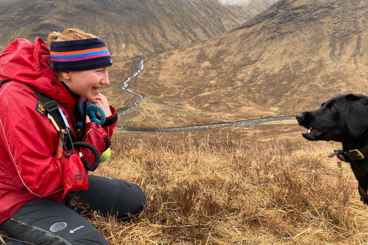 Black Labrador Sgiath wins Animal of the Year for detecting invasive sea squirt
