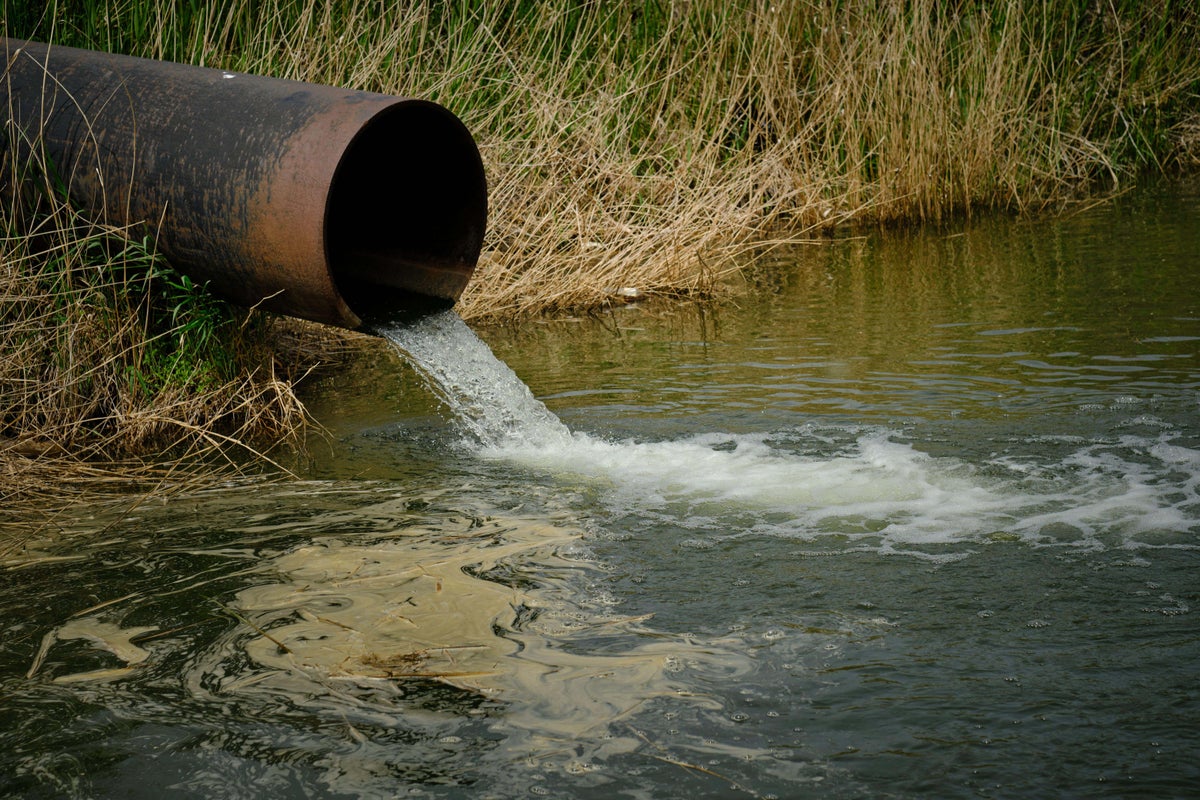 Severn Trent-owned water firm to pay £280,000 after sewage spill failures