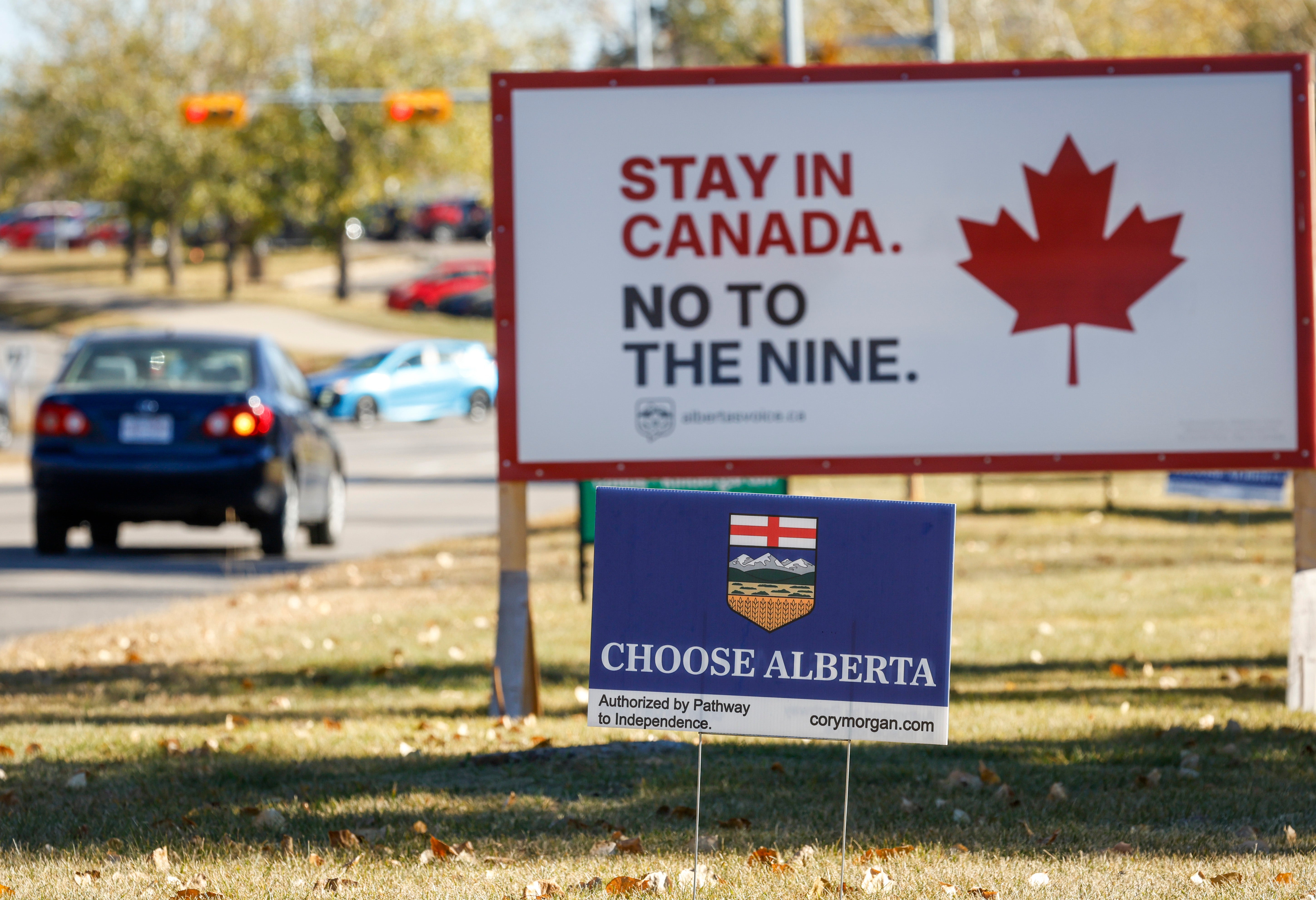Competing referendum signs line a boulevard in Calgary