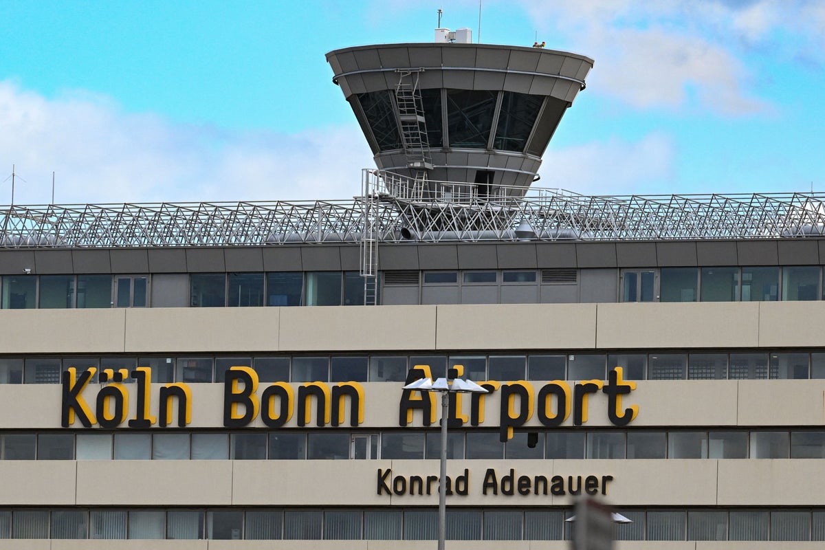 Snakes on a plane as man found with suitcase full of reptiles at German airport