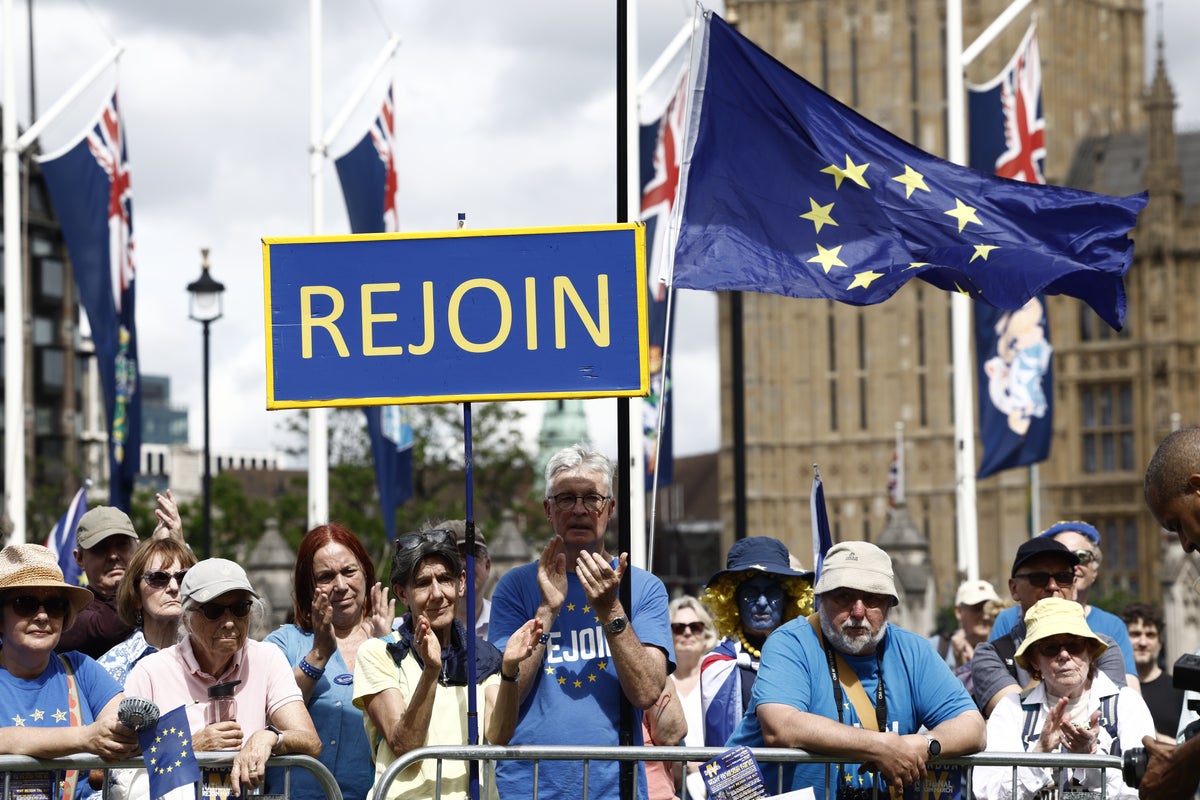 What is a ‘Switzerland plus’ deal and could the UK use it for a speedy EU return?