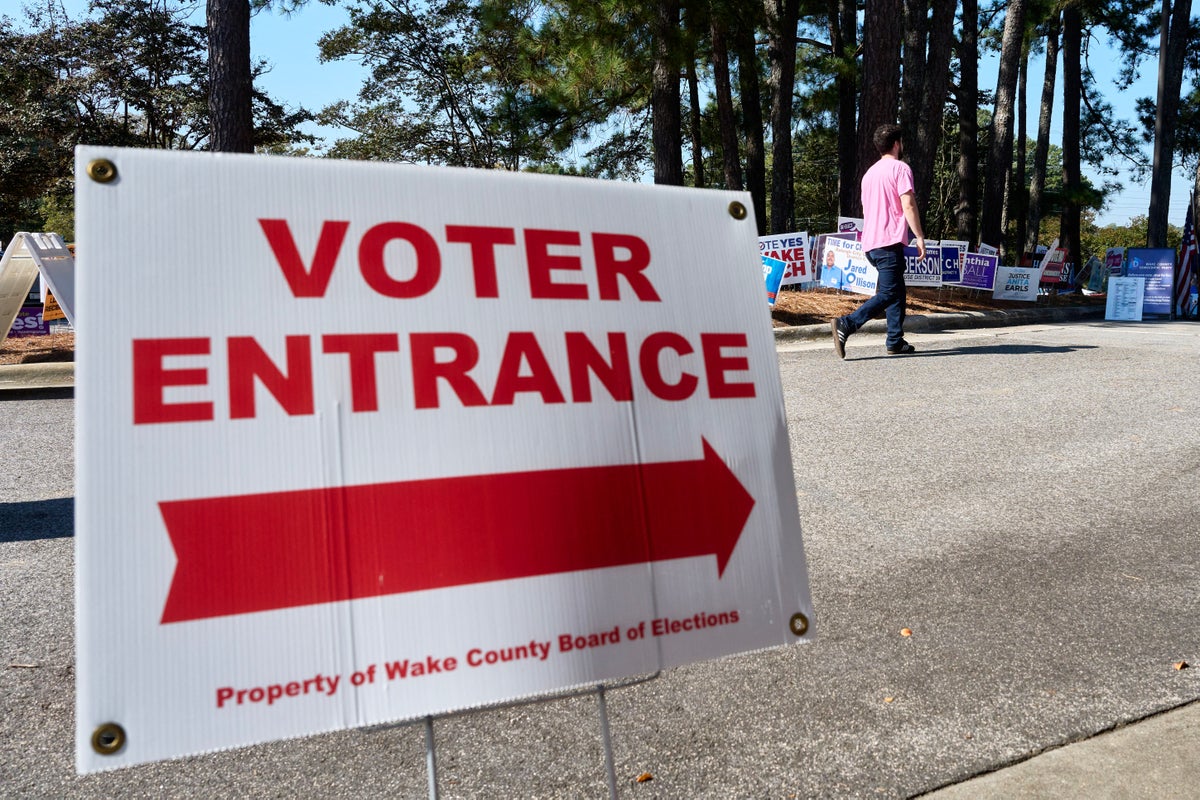Woman who registered her dead dog to vote forced to put pooch on anti-fraud billboards