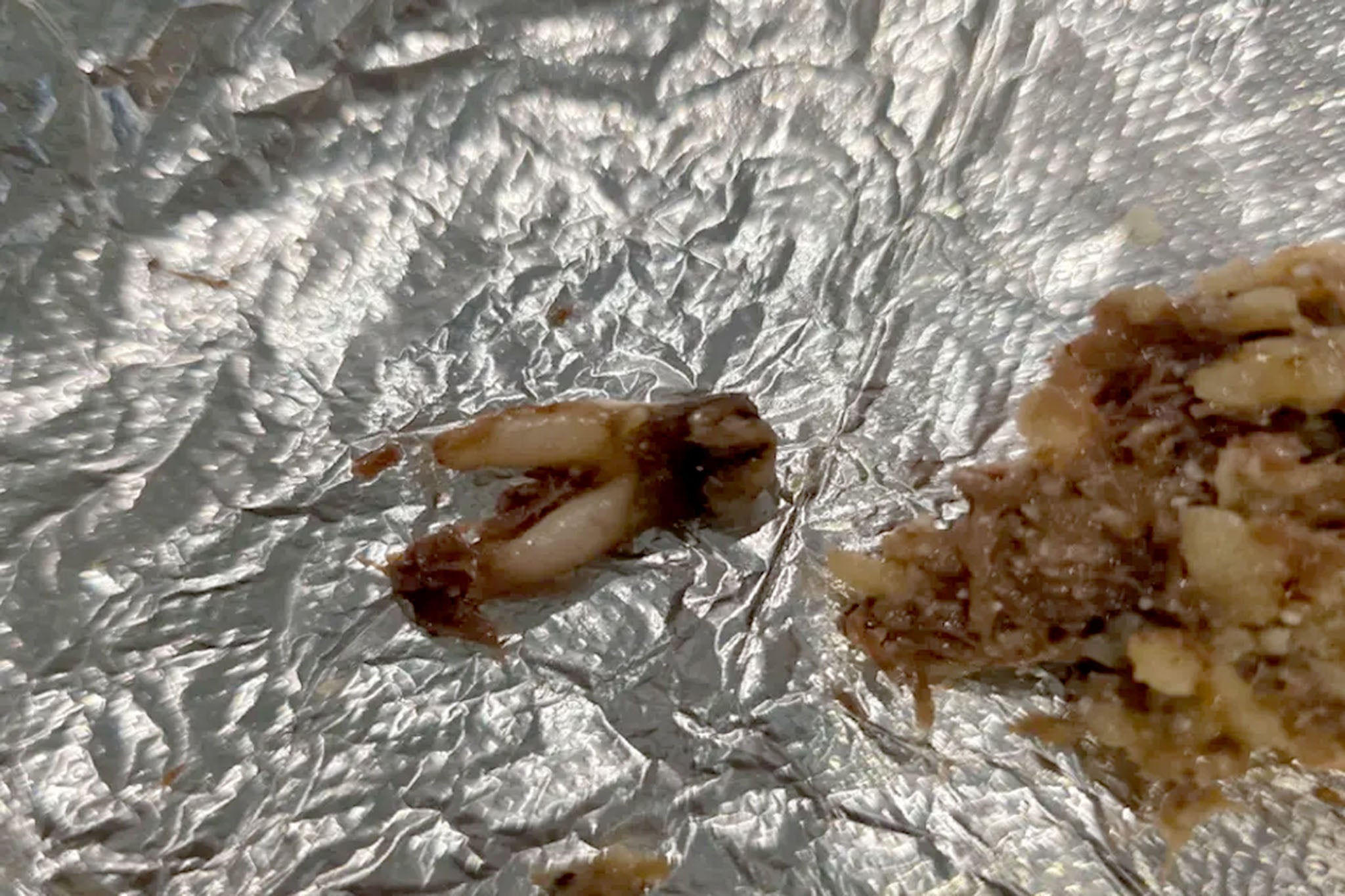 Torchy's Tacos confirmed that the tooth (pictured) came from a cow