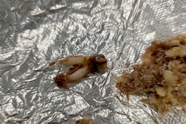 Torchy's Tacos confirmed that the tooth (pictured) came from a cow